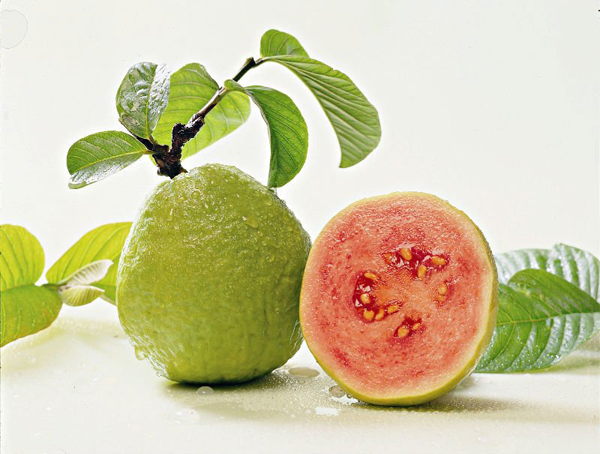 Chuyện ăn ổi ở Bỉ (Belgium Guava)

Hôm bữa Tony lên Bình Phước tiếp xúc một nhà …