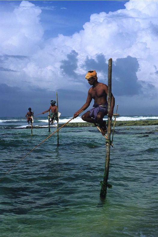 Chuyện ở Ceylon

Tony đến thủ đô Colombo của Sri lanka vào một ngày nắng đẹp. Đả…