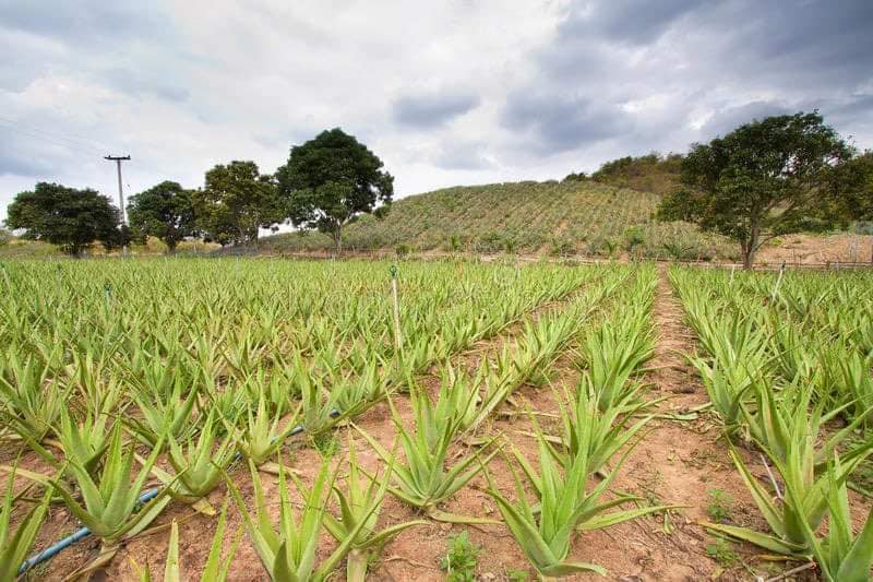 Miễn là không bỏ cuộc

Một bạn trẻ sinh năm 1992 (chưa chịu lộ diện vì nói chưa …