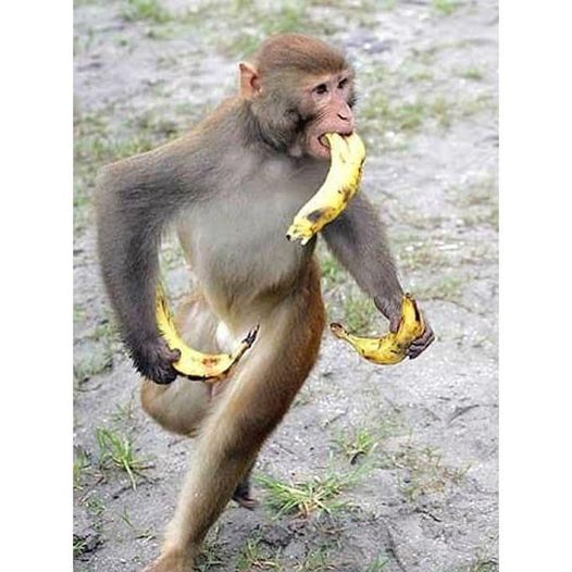 Hào hào sảng sảng

A và B, đều là chủ 2 doanh nghiệp. Cả hai đều ly hôn sau một …